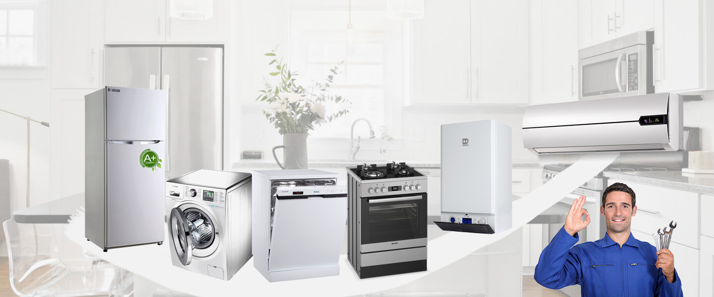 Ardeşen Philips Servisi
